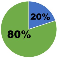 business plan 4 pie chart