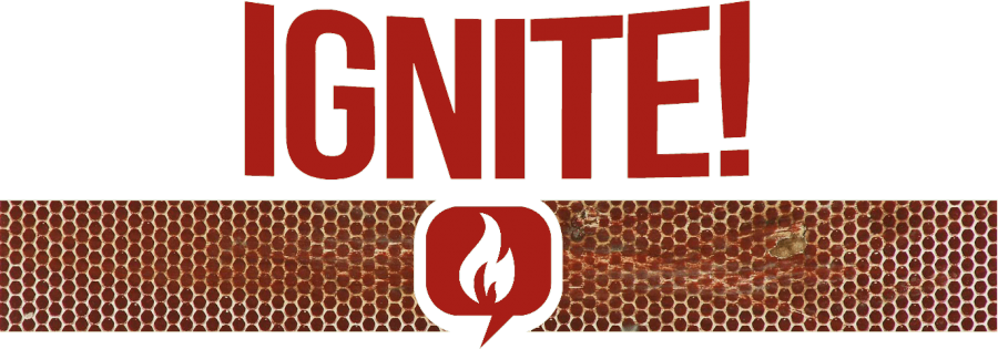 Ignite with Paul Feldman